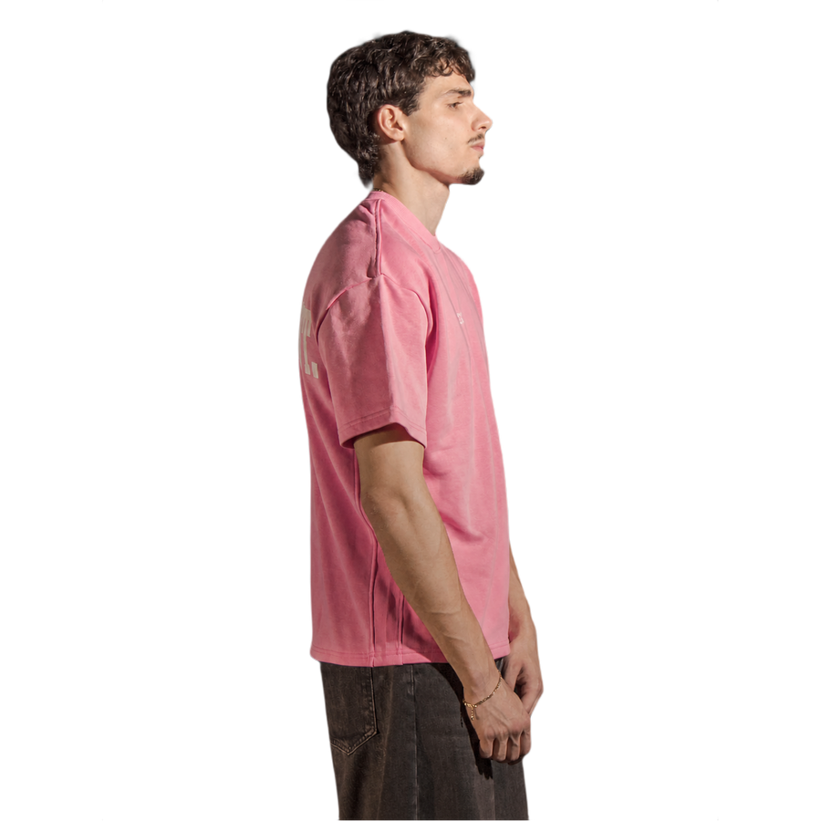 Pink model